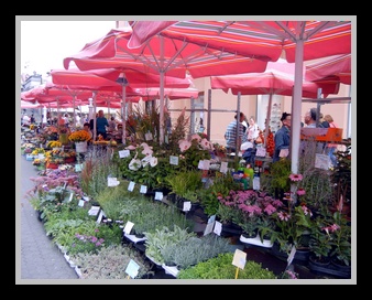 [Click to enlarge image]